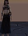 Creating a Chaos Zealot