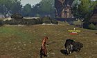Fireball strikes a Potbelly Boar below a Nordland windmill