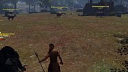Ignite burns a Potbelly Boar on the Nordland farmland